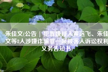 朱佳文(公告 | 犯罪嫌疑人黄远飞、朱佳文等8人涉嫌诈骗罪一案被害人诉讼权利义务告知书)