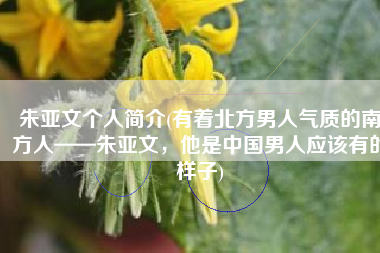 朱亚文个人简介(有着北方男人气质的南方人——朱亚文，他是中国男人应该有的样子)