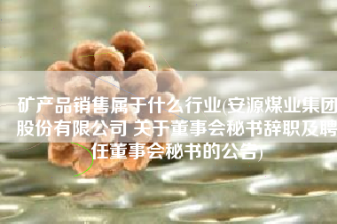 矿产品销售属于什么行业(安源煤业集团股份有限公司 关于董事会秘书辞职及聘任董事会秘书的公告)