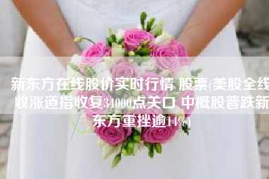 新东方在线股价实时行情 股票(美股全线收涨道指收复34000点关口 中概股普跌新东方重挫逾14%)