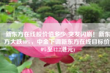 新东方在线股价值多少(突发闪崩！新东方大跌40%，中金下调新东方在线目标价70%至12.2港元)
