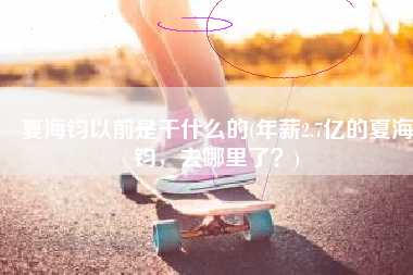 夏海钧以前是干什么的(年薪2.7亿的夏海钧，去哪里了？)