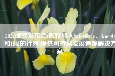 2022微软发布会(微软加入Salesforce、Google和IBM的行列 提供可持续发展追踪解决方案)