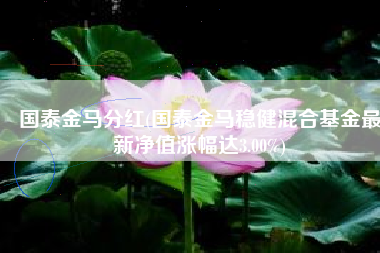 国泰金马分红(国泰金马稳健混合基金最新净值涨幅达3.00%)