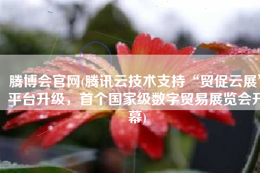 腾博会官网(腾讯云技术支持“贸促云展”平台升级，首个国家级数字贸易展览会开幕)