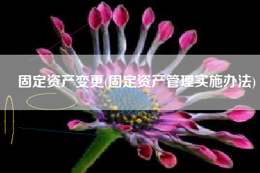 固定资产变更(固定资产管理实施办法)