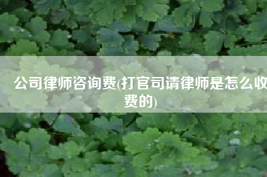 公司律师咨询费(打官司请律师是怎么收费的)