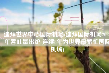 迪拜世界中心国际机场(迪拜国际机场2021年吞吐量出炉 连续8年为世界最繁忙国际机场)