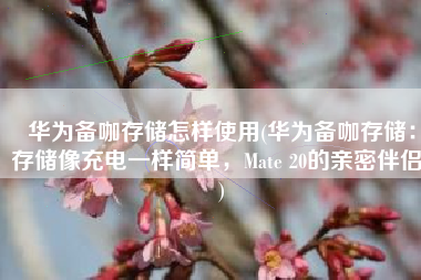 华为备咖存储怎样使用(华为备咖存储：存储像充电一样简单，Mate 20的亲密伴侣！)