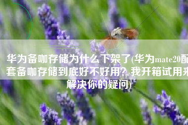 华为备咖存储为什么下架了(华为mate20配套备咖存储到底好不好用？我开箱试用来解决你的疑问)