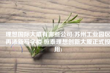 理想国际大厦有哪些公司(苏州工业园区再添新写字楼 恒泰理想创新大厦正式投用)