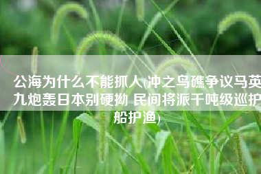 公海为什么不能抓人(冲之鸟礁争议马英九炮轰日本别硬拗 民间将派千吨级巡护船护渔)