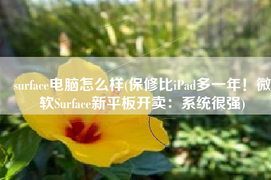 surface电脑怎么样(保修比iPad多一年！微软Surface新平板开卖：系统很强)