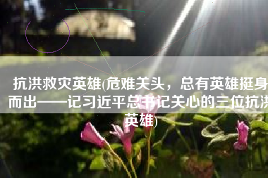 抗洪救灾英雄(危难关头，总有英雄挺身而出——记习近平总书记关心的三位抗洪英雄)