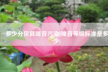 多少分贝算噪音污染(噪音等级标准是多少)