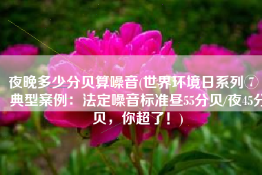 夜晚多少分贝算噪音(世界环境日系列⑦丨典型案例：法定噪音标准昼55分贝/夜45分贝，你超了！)