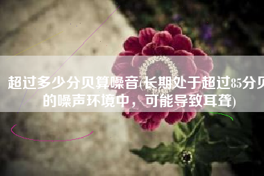 超过多少分贝算噪音(长期处于超过85分贝的噪声环境中，可能导致耳聋)