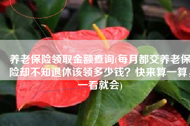 养老保险领取金额查询(每月都交养老保险却不知退休该领多少钱？快来算一算，一看就会)