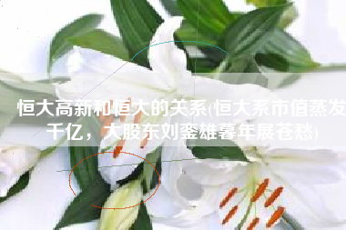 恒大高新和恒大的关系(恒大系市值蒸发千亿，大股东刘銮雄暮年展苍愁)