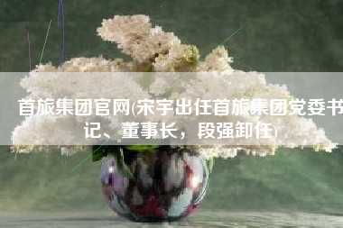 首旅集团官网(宋宇出任首旅集团党委书记、董事长，段强卸任)