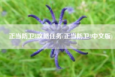 正当防卫3攻略任务(正当防卫3中文版)