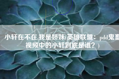 小轩在不在,我是娇妹(英雄联盟：pdd鬼畜视频中的小轩到底是谁？)