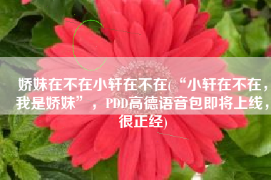 娇妹在不在小轩在不在(“小轩在不在，我是娇妹”，PDD高德语音包即将上线，很正经)