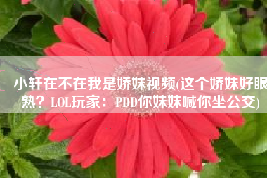 小轩在不在我是娇妹视频(这个娇妹好眼熟？LOL玩家：PDD你妹妹喊你坐公交)