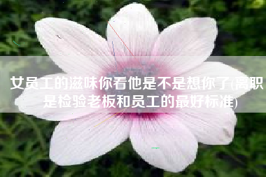 女员工的滋味你看他是不是想你了(离职，是检验老板和员工的最好标准)
