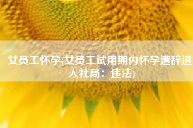 女员工怀孕(女员工试用期内怀孕遭辞退 人社局：违法)