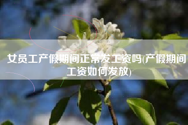 女员工产假期间正常发工资吗(产假期间，工资如何发放)
