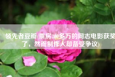 领先者豆瓣(票房200多万的同志电影获奖了，然而制作人却备受争议)