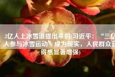 3亿人上冰雪谁提出来的(习近平：“三亿人参与冰雪运动”成为现实，人民群众获得感显著增强)