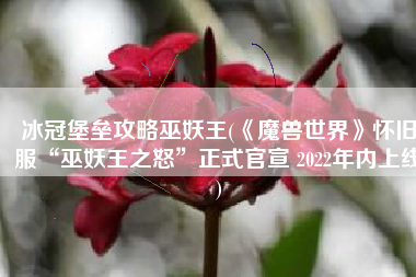 冰冠堡垒攻略巫妖王(《魔兽世界》怀旧服“巫妖王之怒”正式官宣 2022年内上线)