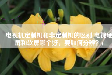 电视机定制机和非定制机的区别(电视硬屏和软屏哪个好，要如何分辨？)