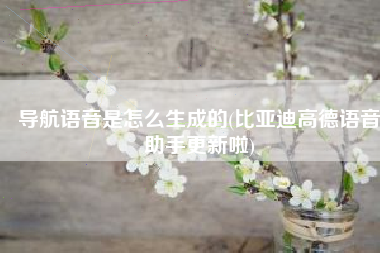 导航语音是怎么生成的(比亚迪高德语音助手更新啦)