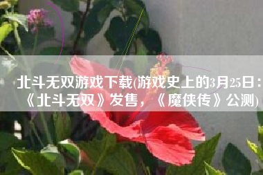 北斗无双游戏下载(游戏史上的3月25日：《北斗无双》发售，《魔侠传》公测)