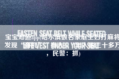 宝宝知道app(哈尔滨数名家庭主妇打麻将发现“商机”，有人2、3年入账三十多万，民警：抓)