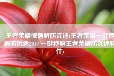 王者荣耀微信解防沉迷(王者荣耀一键秒解防沉迷2019 一键秒解王者荣耀防沉迷软件)