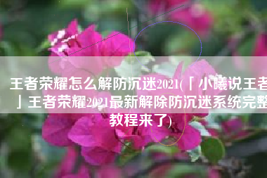 王者荣耀怎么解防沉迷2021(「小曦说王者」王者荣耀2021最新解除防沉迷系统完整教程来了)
