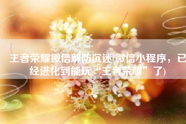 王者荣耀微信解防沉迷(微信小程序，已经进化到能玩“王者荣耀”了)