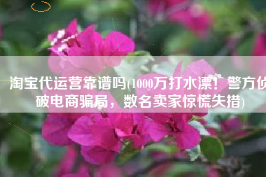 淘宝代运营靠谱吗(1000万打水漂！警方侦破电商骗局，数名卖家惊慌失措)