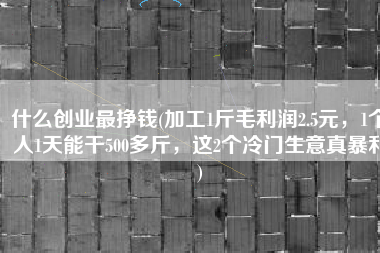 什么创业最挣钱(加工1斤毛利润2.5元，1个人1天能干500多斤，这2个冷门生意真暴利)