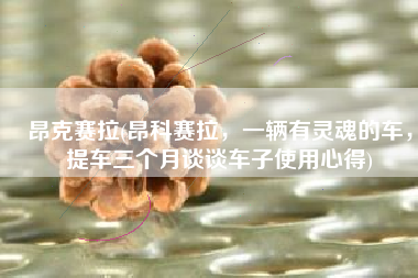 昂克赛拉(昂科赛拉，一辆有灵魂的车，提车三个月谈谈车子使用心得)