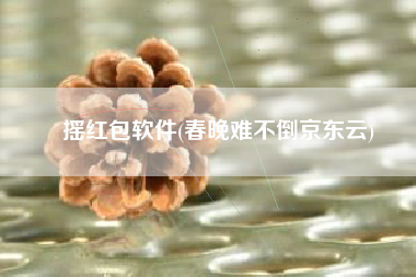 摇红包软件(春晚难不倒京东云)