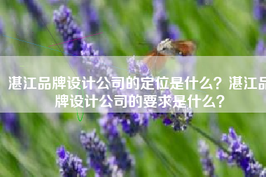 湛江品牌设计公司的定位是什么？湛江品牌设计公司的要求是什么？
