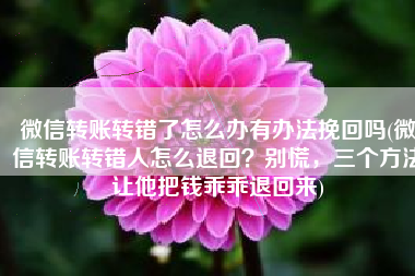微信转账转错了怎么办有办法挽回吗(微信转账转错人怎么退回？别慌，三个方法让他把钱乖乖退回来)