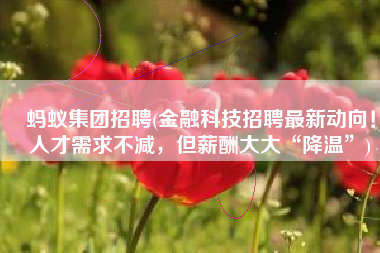 蚂蚁集团招聘(金融科技招聘最新动向！人才需求不减，但薪酬大大“降温”)