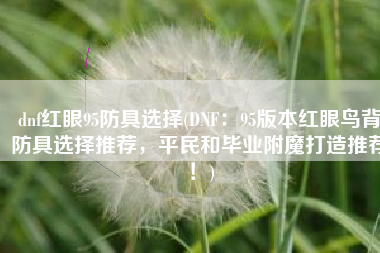 dnf红眼95防具选择(DNF：95版本红眼鸟背防具选择推荐，平民和毕业附魔打造推荐！)