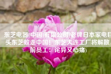 东芝电器(中国)有限公司(老牌日本家电巨头东芝败走中国！东芝大连工厂将解散，前员工：诧异又心痛)
